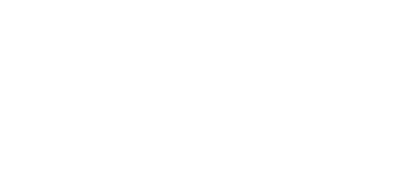 About Forsa